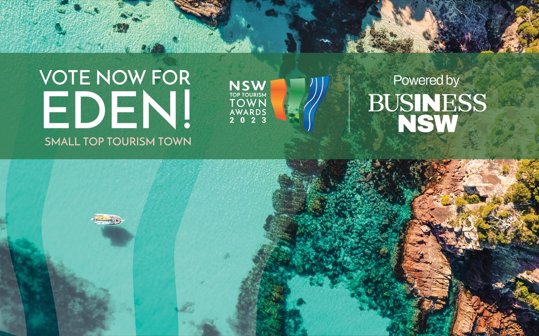 nsw top tourism town awards 2023